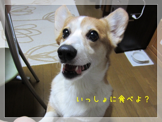 いっしょに食べよ?わかってる? いっしょに食べよ?