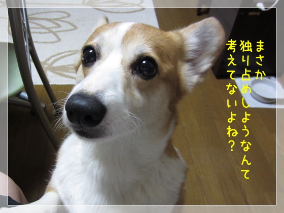 まさか独り占めせーへんよね? まさか独り占めせーへんよね?
