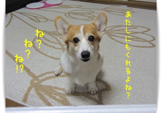 あたしにもくれるよね? あたしにもくれるよね?