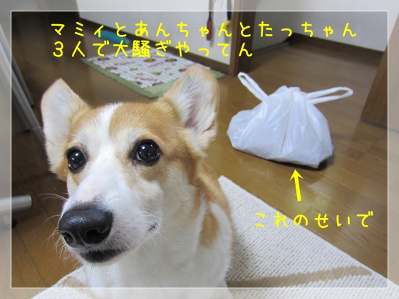 大騒ぎ