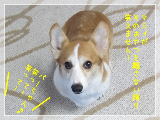 パールは相変わらず