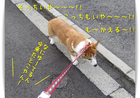 も~帰る~