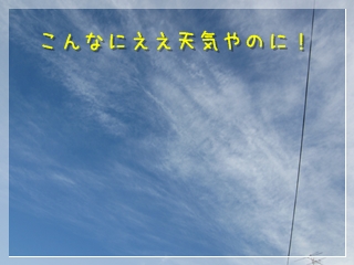 こんなにいい天気やのに