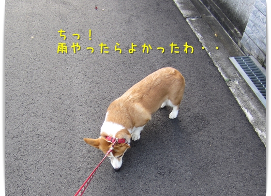 ちっ 雨やったらよかったのに