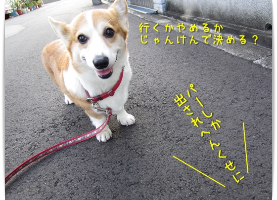 じゃんけんする?