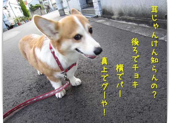耳じゃんけん知らんの?