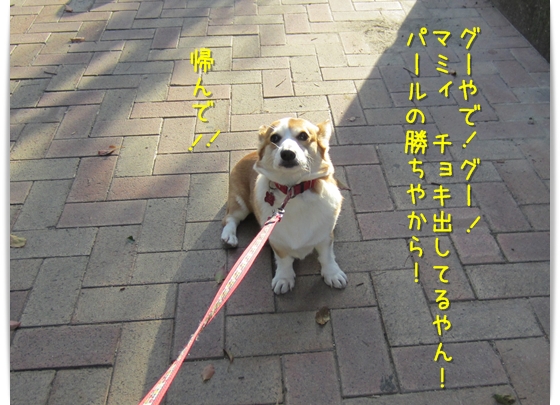 つべこべ言わずに歩け~