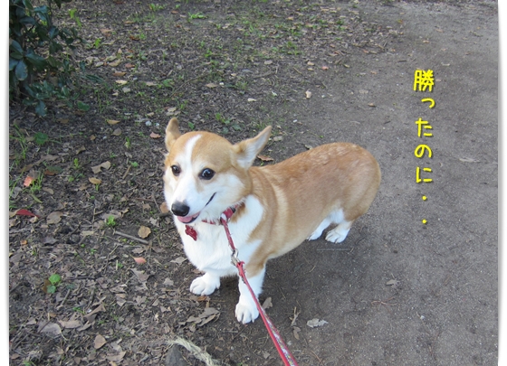 勝ったのに