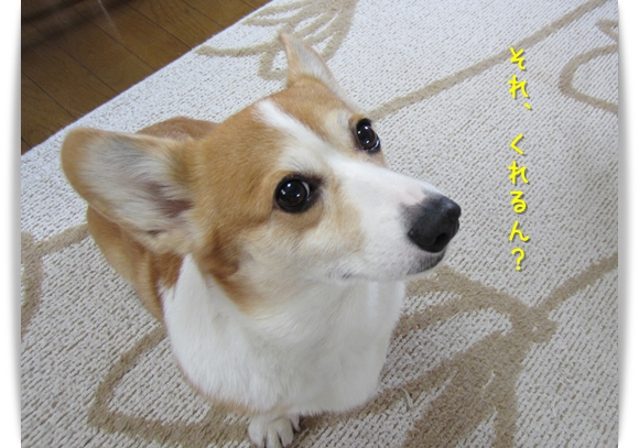 くれ!くれ!