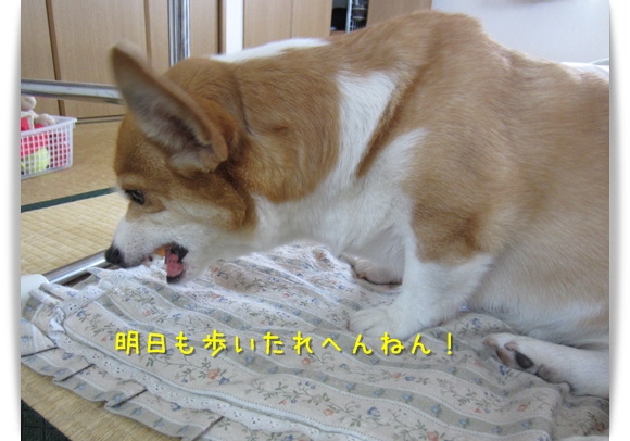 明日も歩いたれへんねん! 明日も歩いたれへんねん!