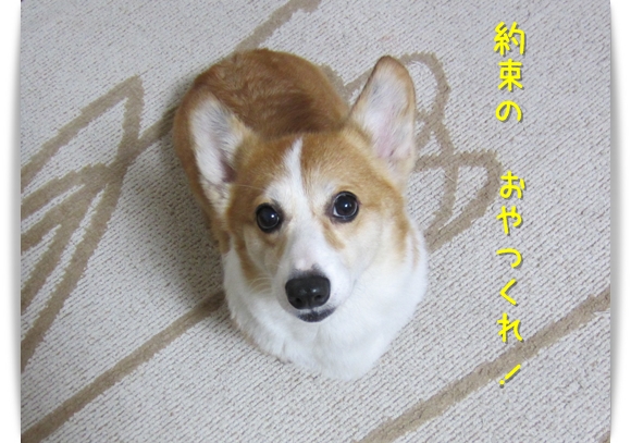 約束のおやつくれ! 約束のおやつくれ!