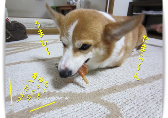 たまら~ん たまら~ん