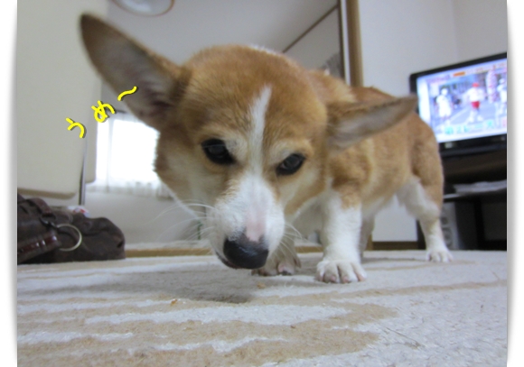 うまひー うまひー