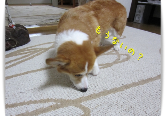 あれ?もうない?