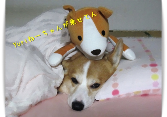 ゆりねーちゃんが乗せました
