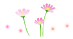 イラスト コスモス2