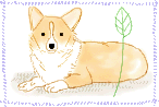 イラスト コーギー