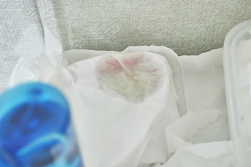 おしっこは大丈夫そう