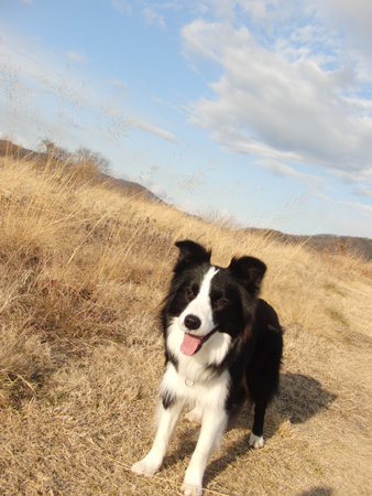 20120218kokota.jpg