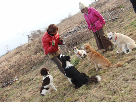 20120223osanpo2.jpg