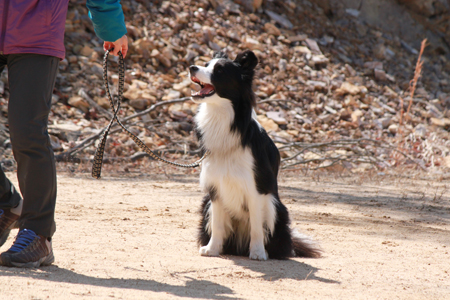 20120316kokota2.jpg