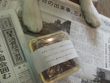 20120317kokota1.jpg