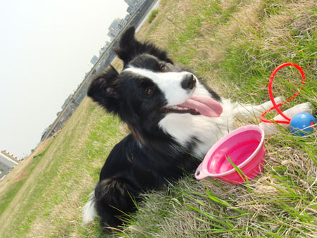 20120408kokota5.jpg