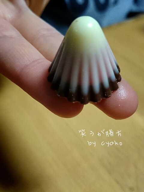 fc2_2014-02-04_11-31-39-493.jpg