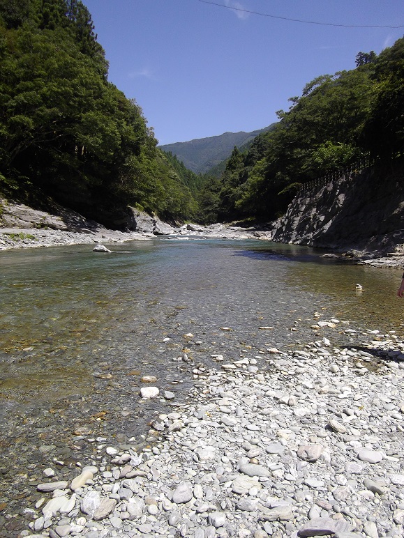 IMGP7528.jpg