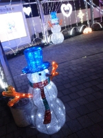 20131207_christmas_lights_03.jpg