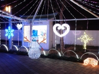 20131207_christmas_lights_04.jpg