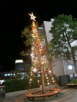 20131207_christmas_lights_06.jpg