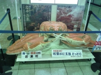 20131221_tottori_03.jpg