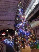 20131221_tottori_07.jpg