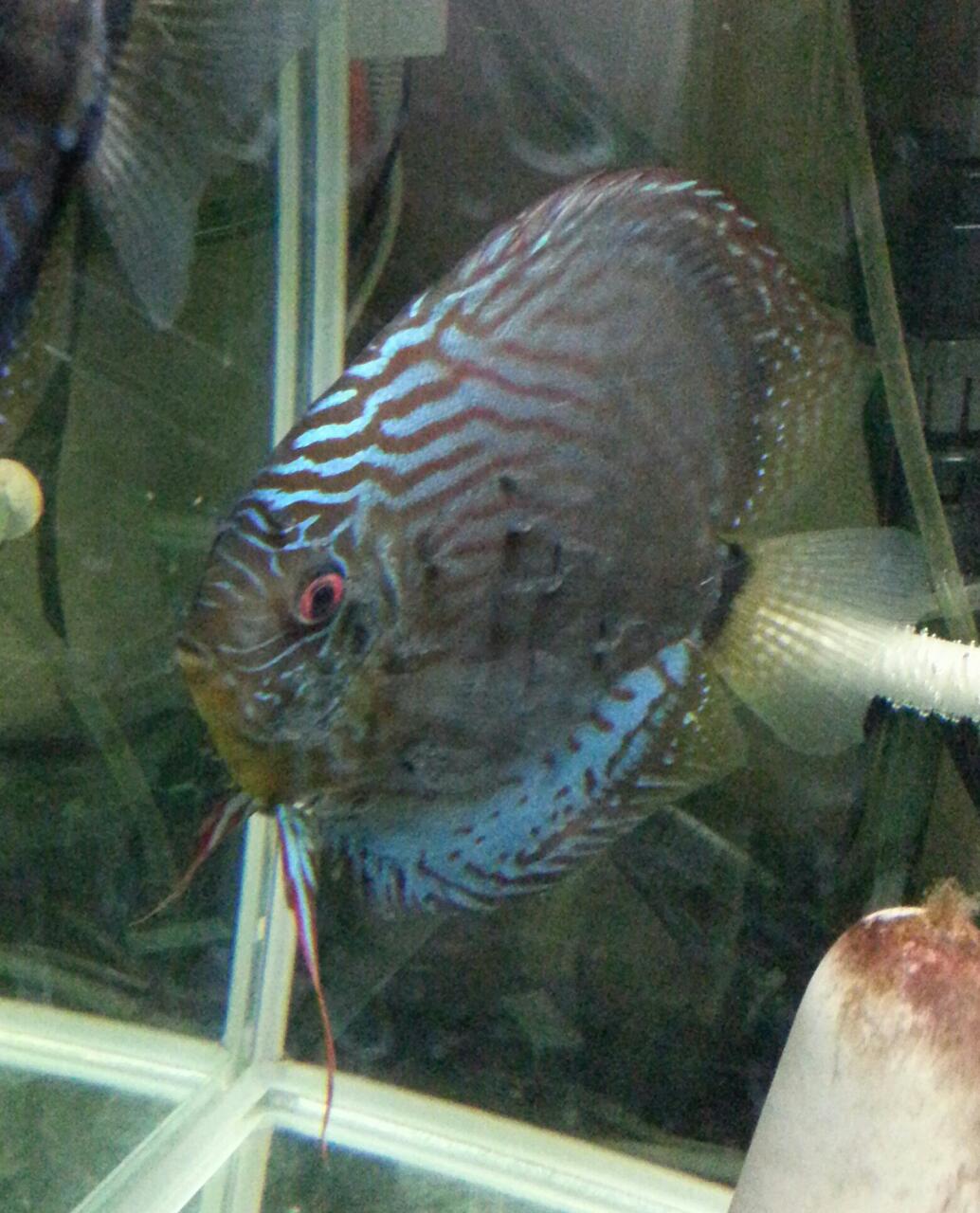 20131206230119756.jpg