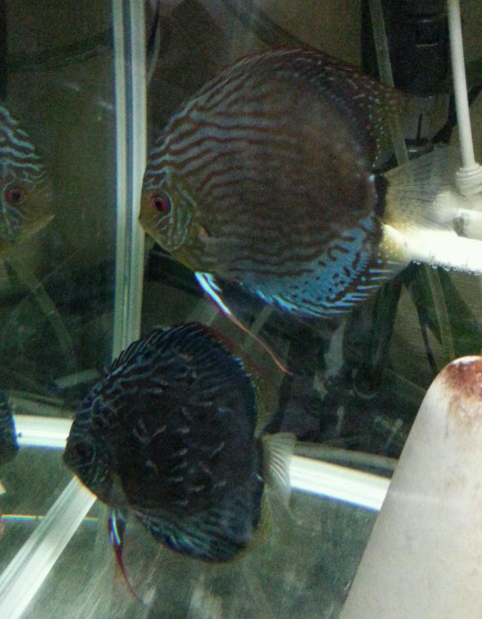 20131206230125593.jpg