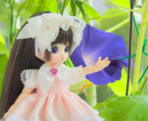 もっち様シナモン