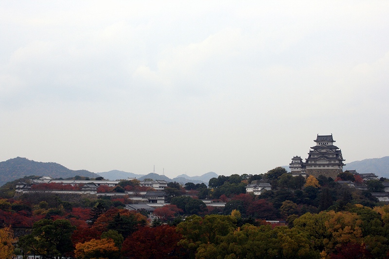 20081117-10.jpg