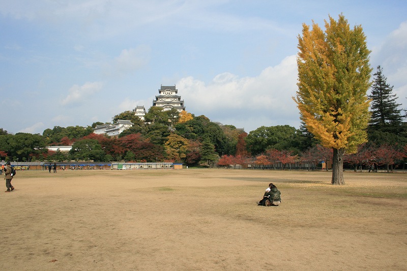 20081117-13.jpg