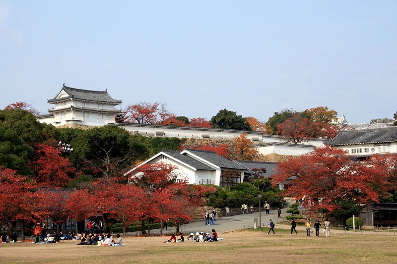 20081117-14.jpg