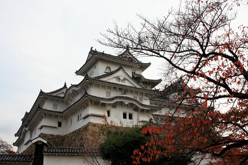 20081117-18.jpg