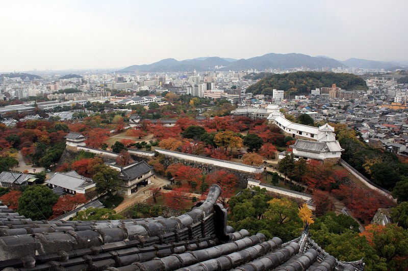 20081117-23.jpg
