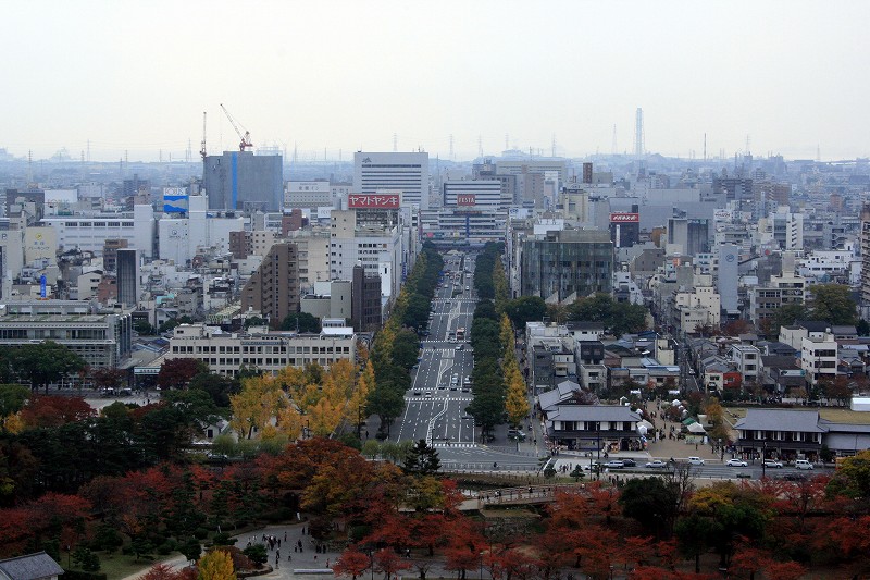20081117-24.jpg