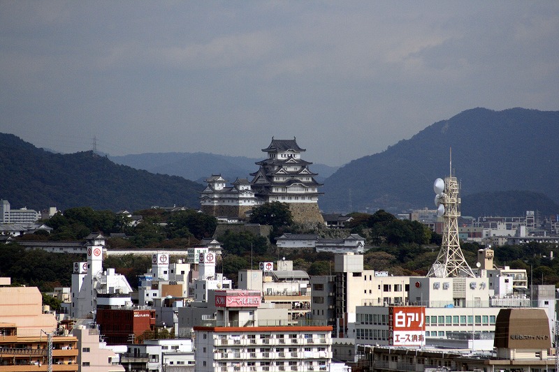 20081117-26.jpg