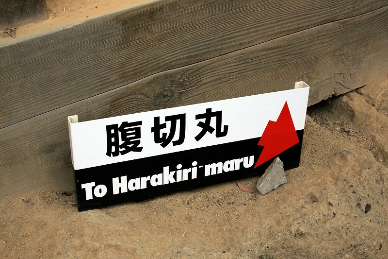 20081117-27.jpg
