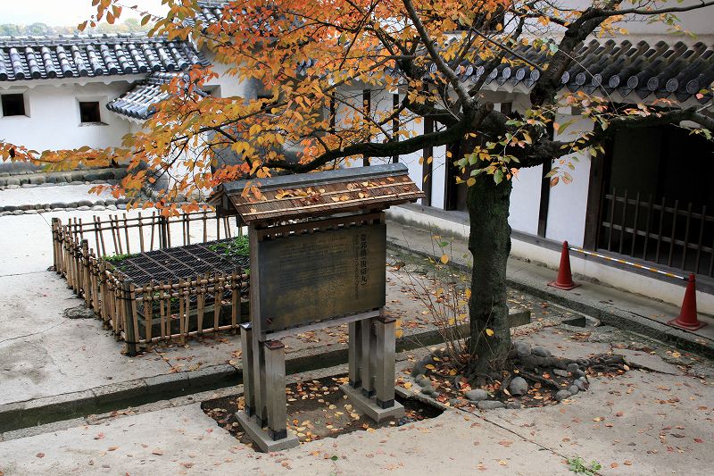 20081117-28.jpg