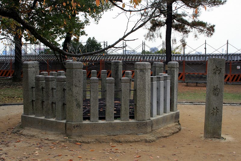 20081117-29.jpg