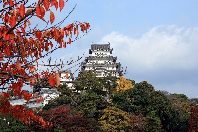 20081117-4.jpg