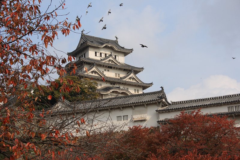 20081117-5.jpg