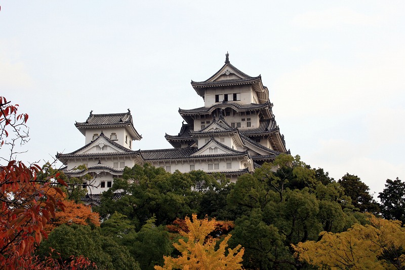 20081117-6.jpg